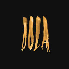 Dola